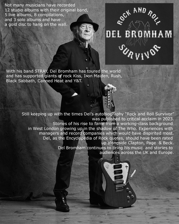 The Del Bromham Band