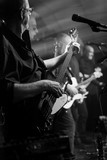 Floyd Effect Tropic At Ruislip 2021 Picture 20